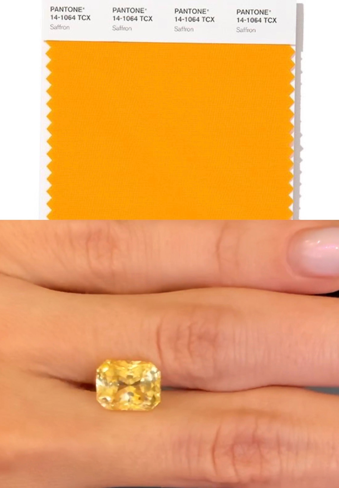 Pantone Trend Colors SPRING SUMMER 2020 NYFW
