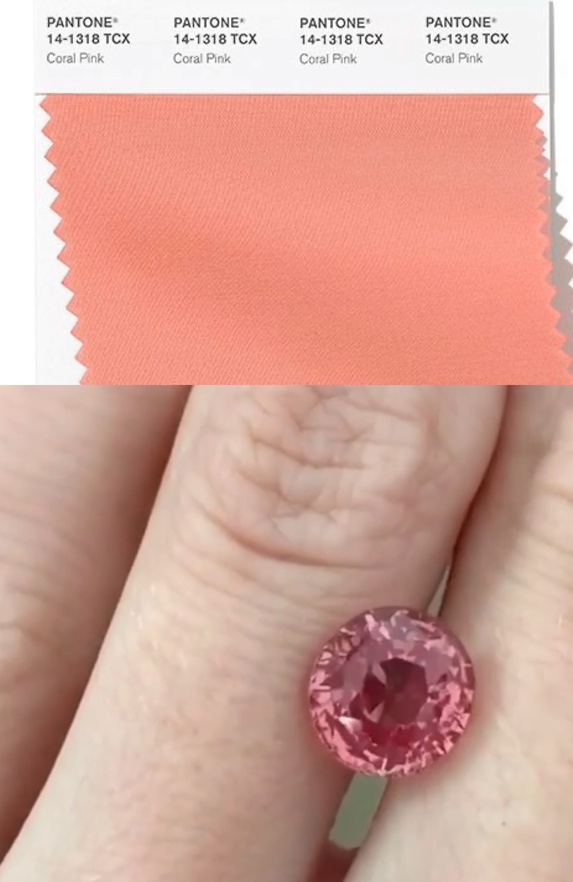 Pantone Trend Colors SPRING SUMMER 2020 NYFW